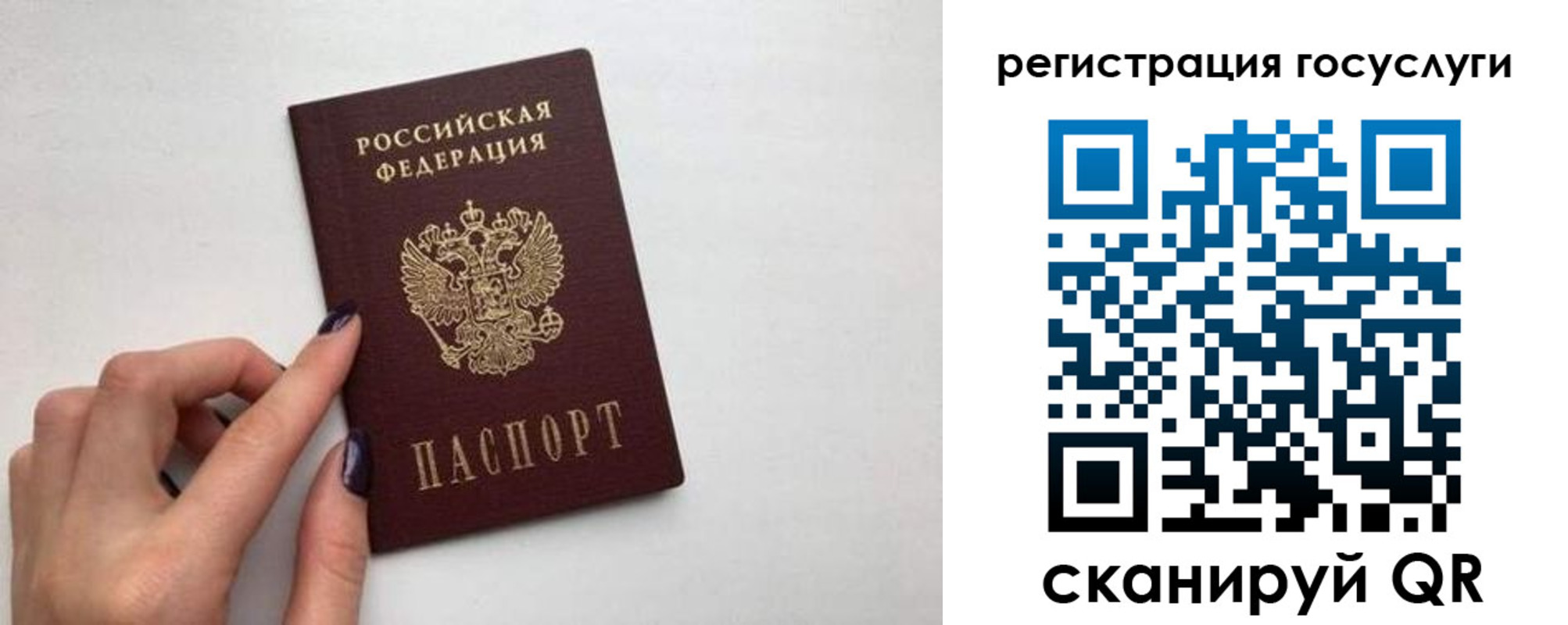 временная регистрация гарантия в Тавде